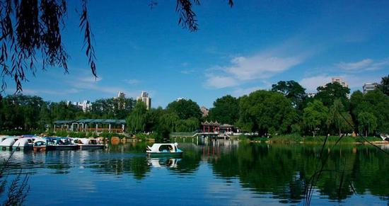 網(wǎng)絡(luò)圖片