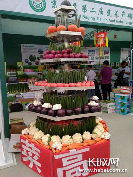 蔬菜“展架”。聶承華 攝