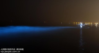 2017年9月17日凌晨，在河北省秦皇島市金夢海灣浴場拍攝的“熒光?！?。