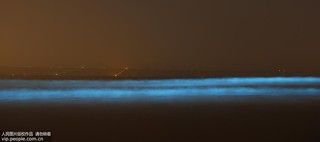2017年9月17日凌晨，在河北省秦皇島市金夢海灣浴場拍攝的“熒光海”。