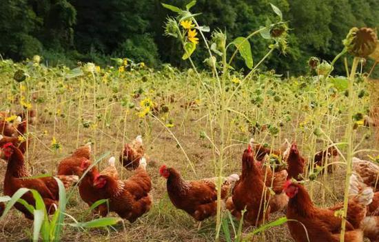 相關(guān)設施裝備配套率達到100%