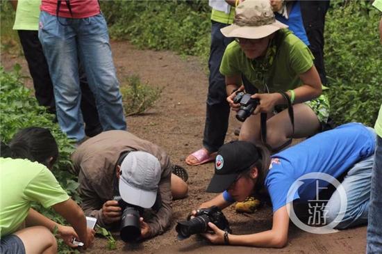 田菊做公益活動(dòng)