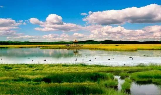 國家濕地公園：受國家保護(hù)