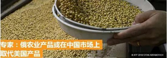 ▲俄羅斯衛(wèi)星通訊社報(bào)道截圖