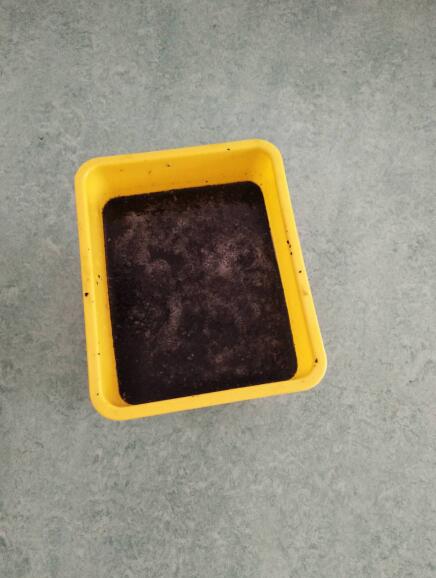 海爾空調(diào)免費(fèi)清洗公益行進(jìn)秦皇島:醫(yī)院20臺空調(diào)洗出臟水觸目驚心