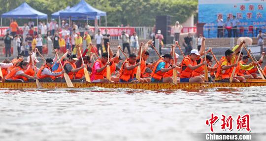 秦皇島大湯河龍舟賽現(xiàn)場(chǎng) 曹建雄 攝