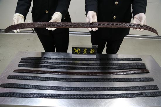 近日，石家莊海關(guān)隸屬石家莊機(jī)場海關(guān)在旅檢現(xiàn)場查獲由曼谷航班進(jìn)境的1名中國籍旅客違規(guī)攜帶鱷魚皮腰帶8根。圖為查獲瀕危物種制品。 圖片來源：石家莊海關(guān)官方網(wǎng)站